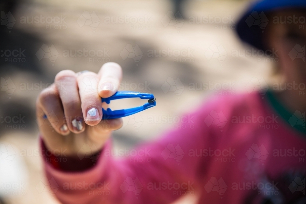Hand holding tweezers with sapphire - Australian Stock Image