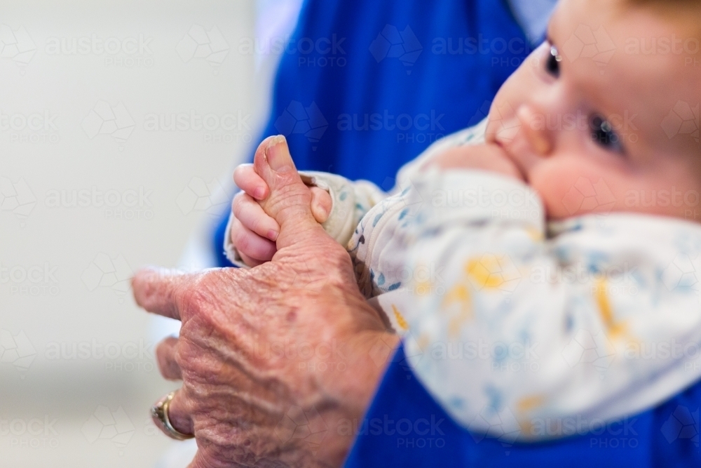 Hand of a baby holding great grandmothers finger - Australian Stock Image