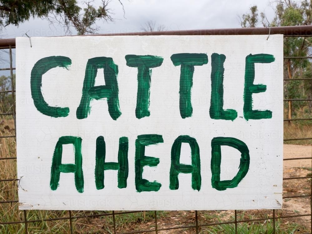 Hand painted "Cattle Ahead" sign on a gate - Australian Stock Image