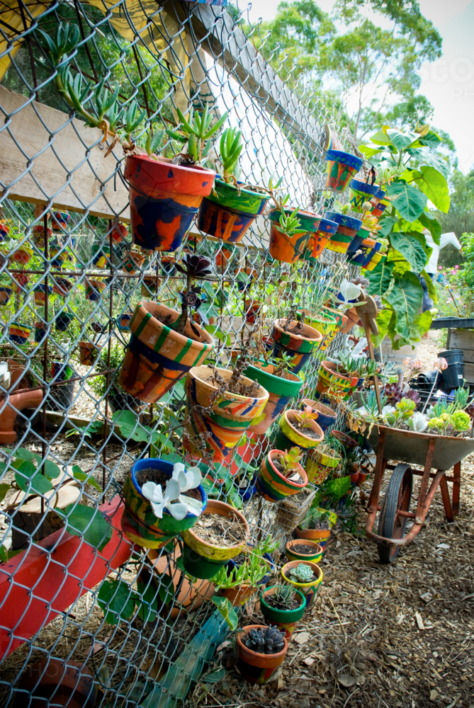 Hand painted flower pots hanging on a fence - vertical - Australian Stock Image