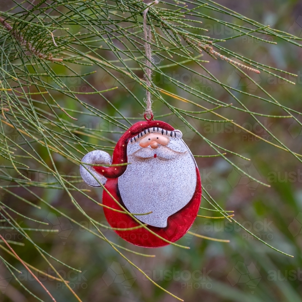 Hand-painted Santa Claus Christmas decoration hanging in a tree - Australian Stock Image