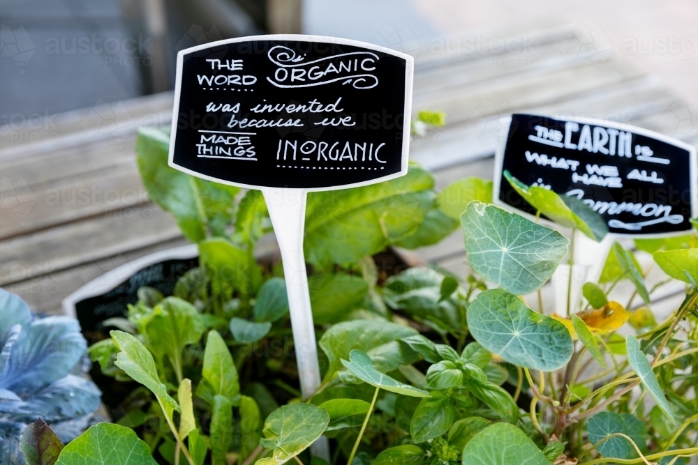 Hand written signs in soil of organic garden plants - Australian Stock Image