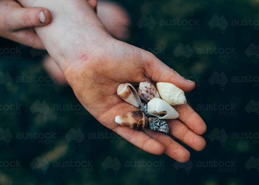 Handful of seashells - Australian Stock Image