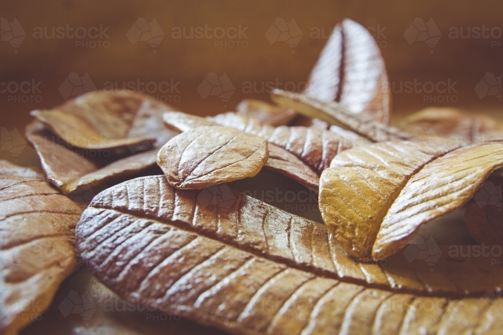 Handmade Paper Mache Autumn leaves - Australian Stock Image