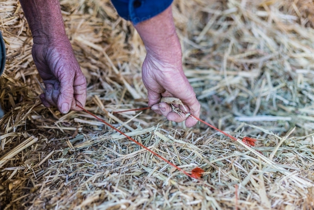 Hands lifting hay bales with baling twine - Australian Stock Image