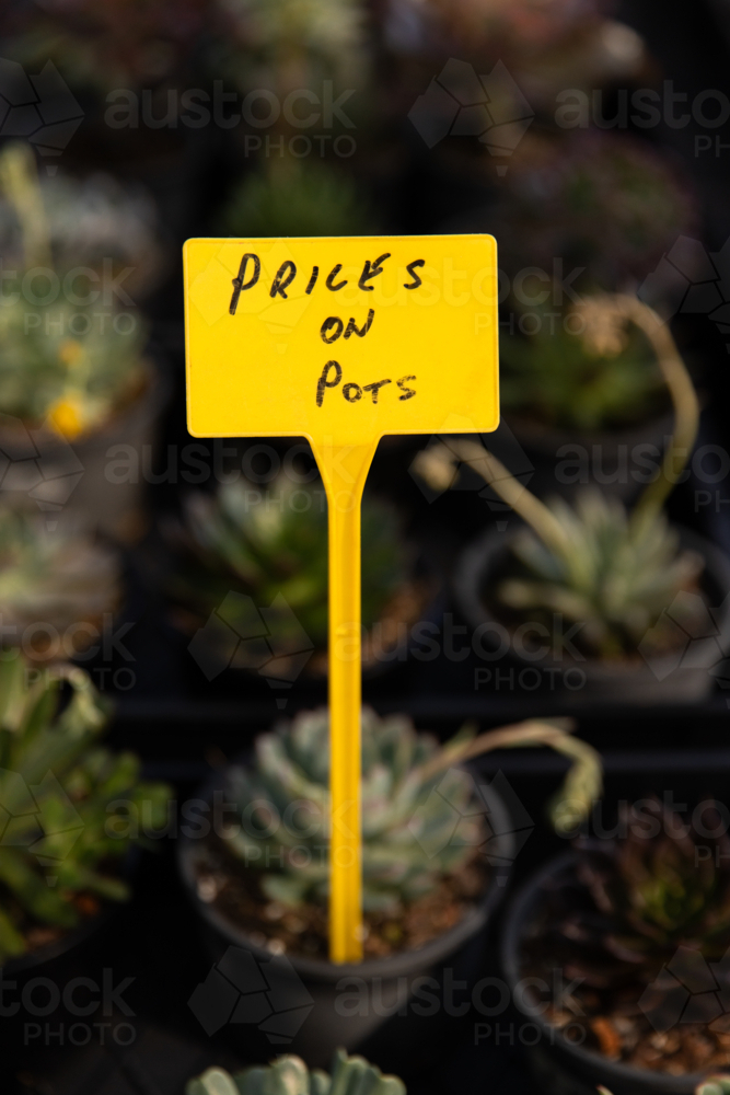Handwritten text “Prices on pots” sign among rows of small potted succulents at a market stall - Australian Stock Image