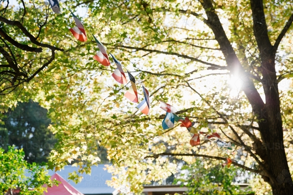 Hanging flag banners with sun gleaming through the trees - Australian Stock Image