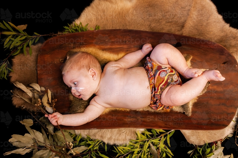 Happy Aboriginal baby boy lying on possum skin in coolamon cradle holding gum leaves - Australian Stock Image