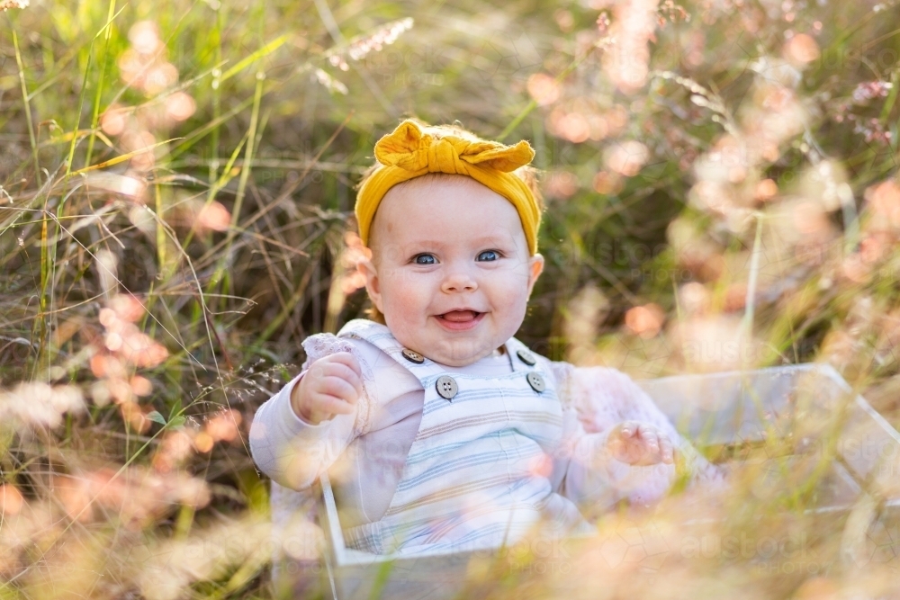 Happy baby girl sitting up in crate amongst grass during professional photoshoot - Australian Stock Image