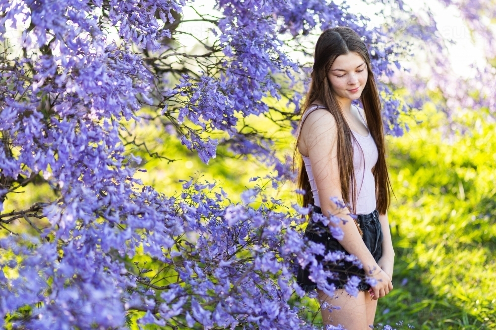 Happy brunette teenage girl standing among flowering branches of purple jacaranda tree - Australian Stock Image