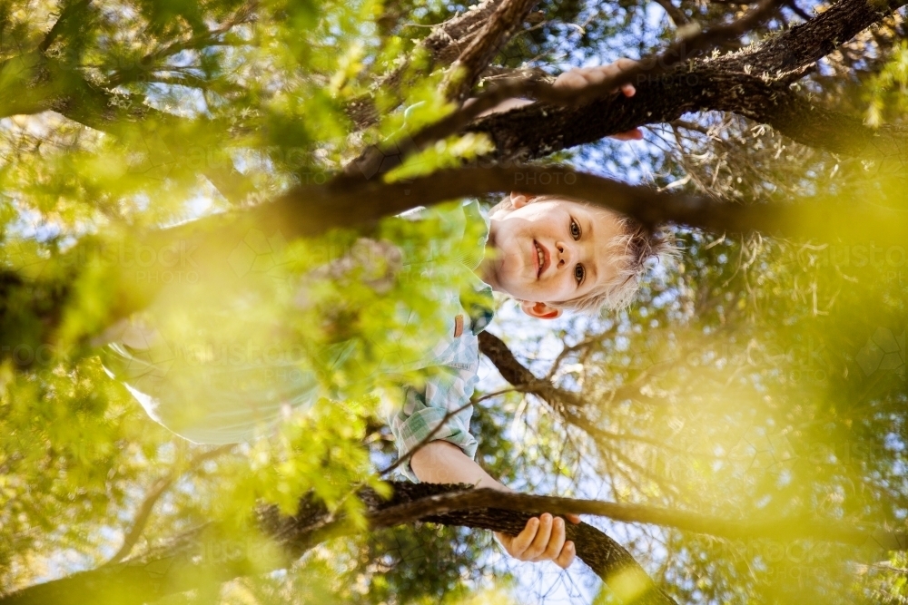 Happy country kid climbing up tree outside - Australian Stock Image