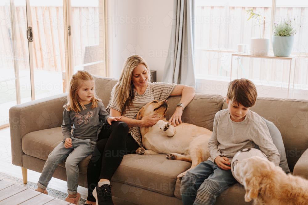 Happy family comfortably sitting on the couch with their dogs in the living room. - Australian Stock Image