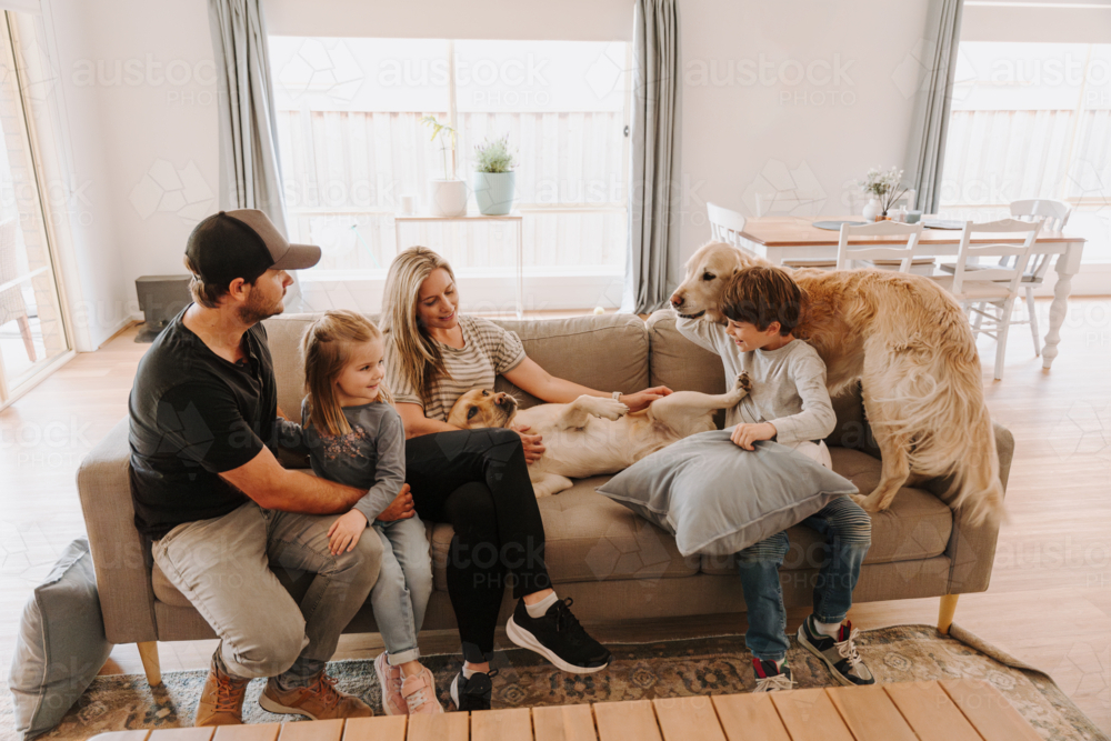 Happy family comfortably sitting on the couch with their dogs in the living room. - Australian Stock Image