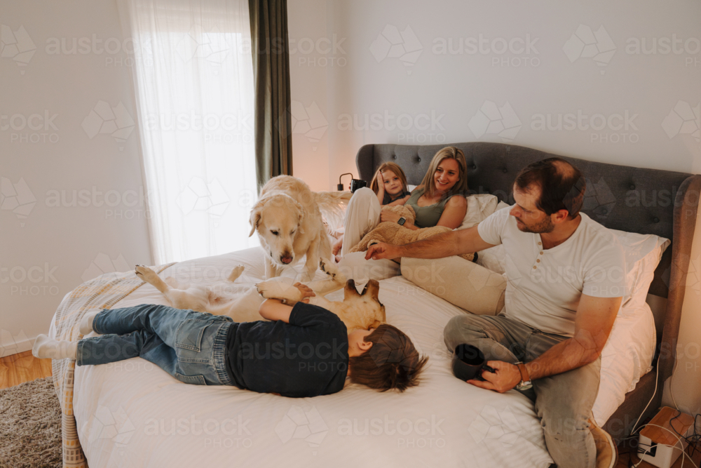 Happy family snuggling in a cosy bedroom with their dogs. - Australian Stock Image
