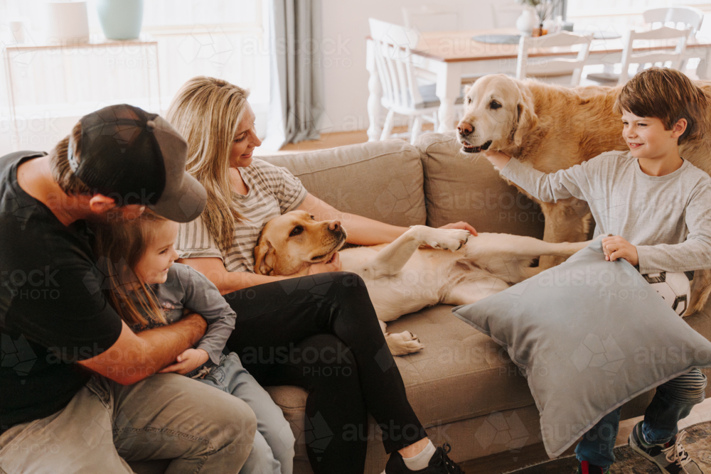 Happy family with two kids and dogs together on lounge in loungeroom at home - Australian Stock Image