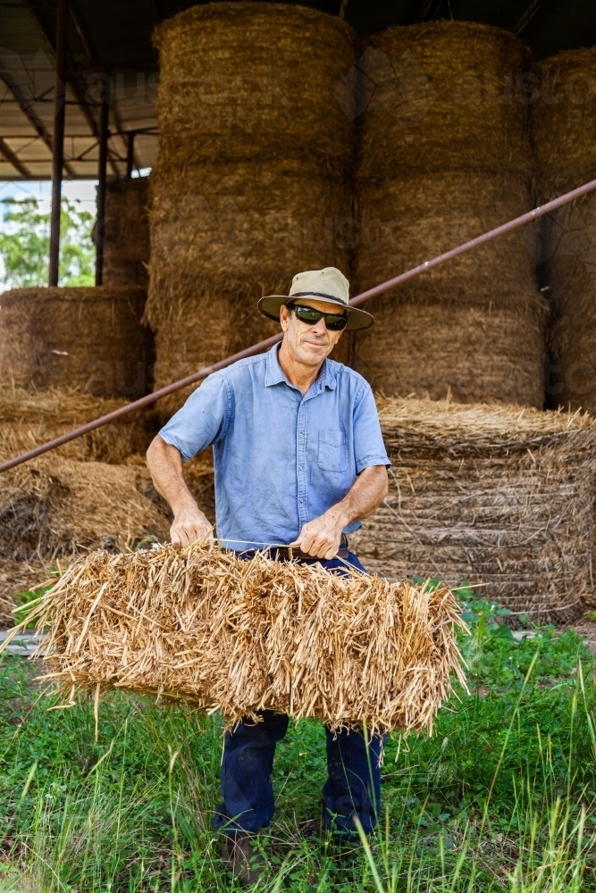 Happy farmer man picking up hey bale from storage shed - Australian Stock Image