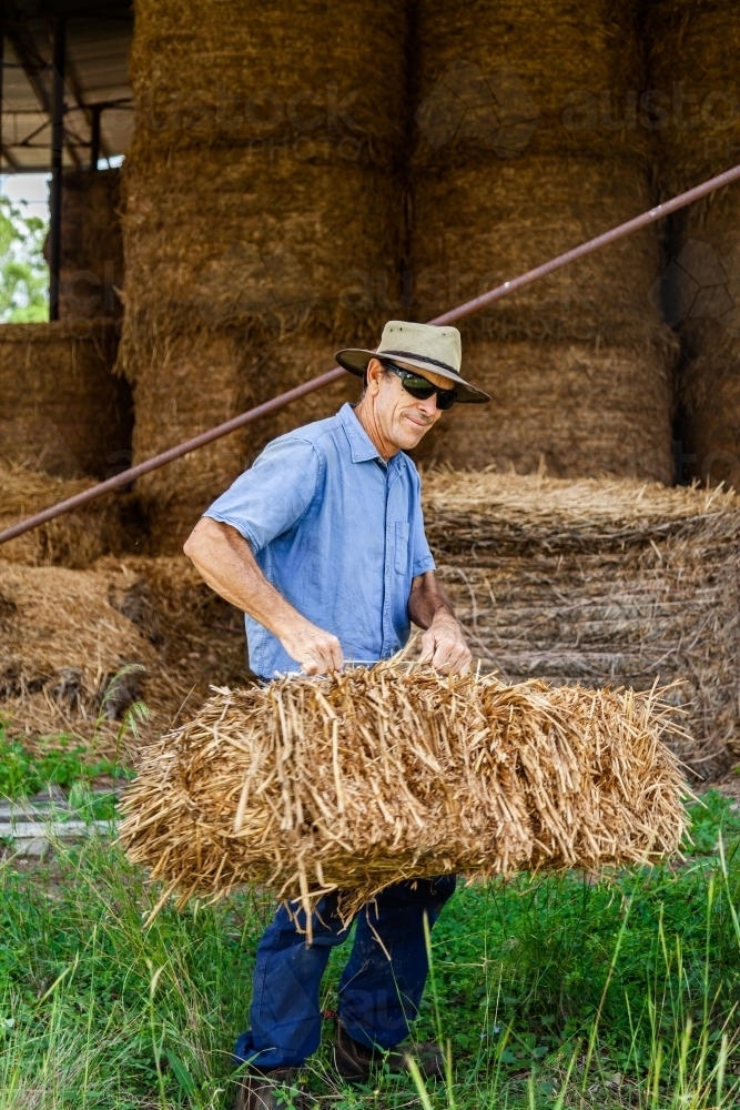 Happy farmer man picking up hey bale from storage shed - Australian Stock Image