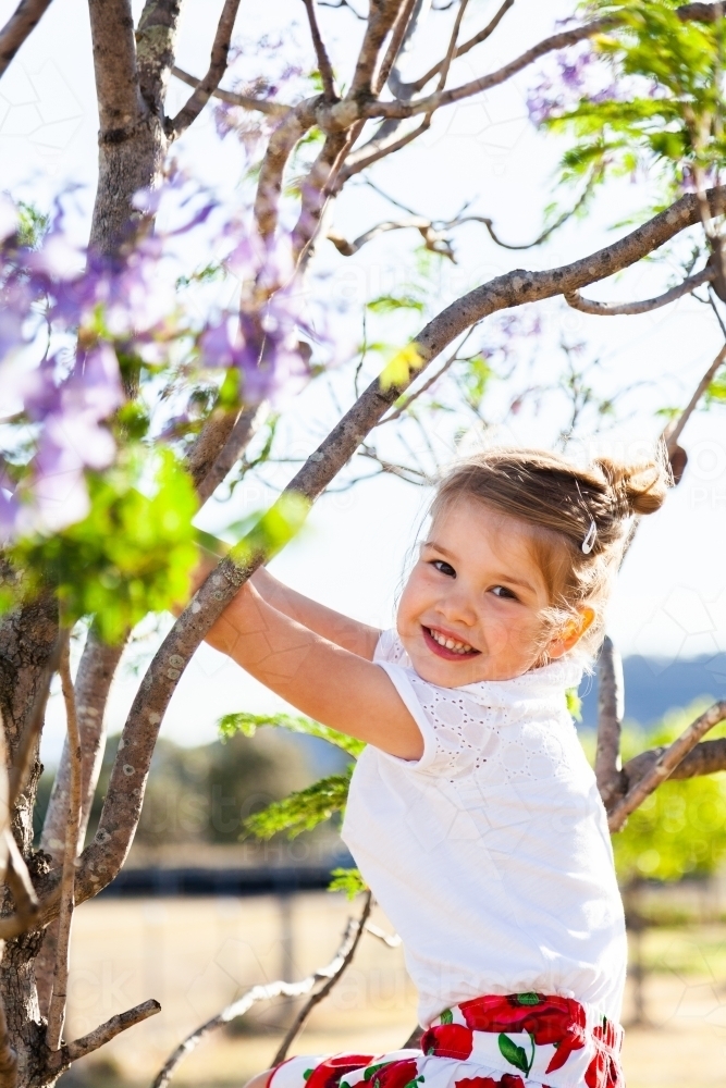 Happy little girl climbing jakarandah - Australian Stock Image