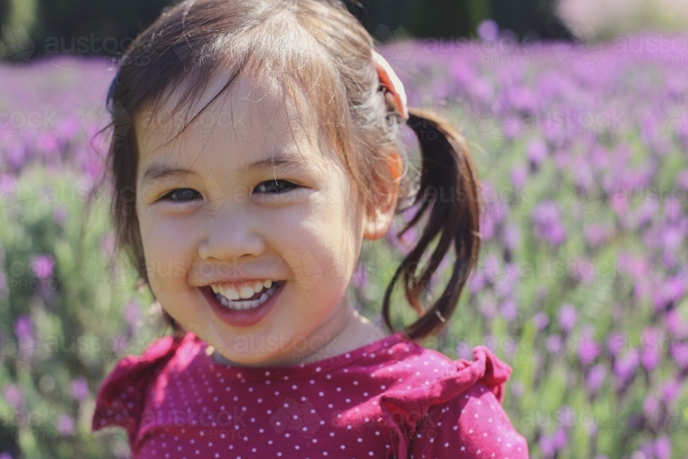 Happy little girl in lavender farm - Australian Stock Image