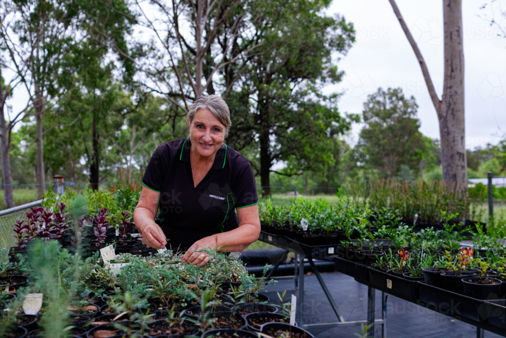 Happy middle aged horticulturalist woman gardening in seedling nursery garden - Australian Stock Image