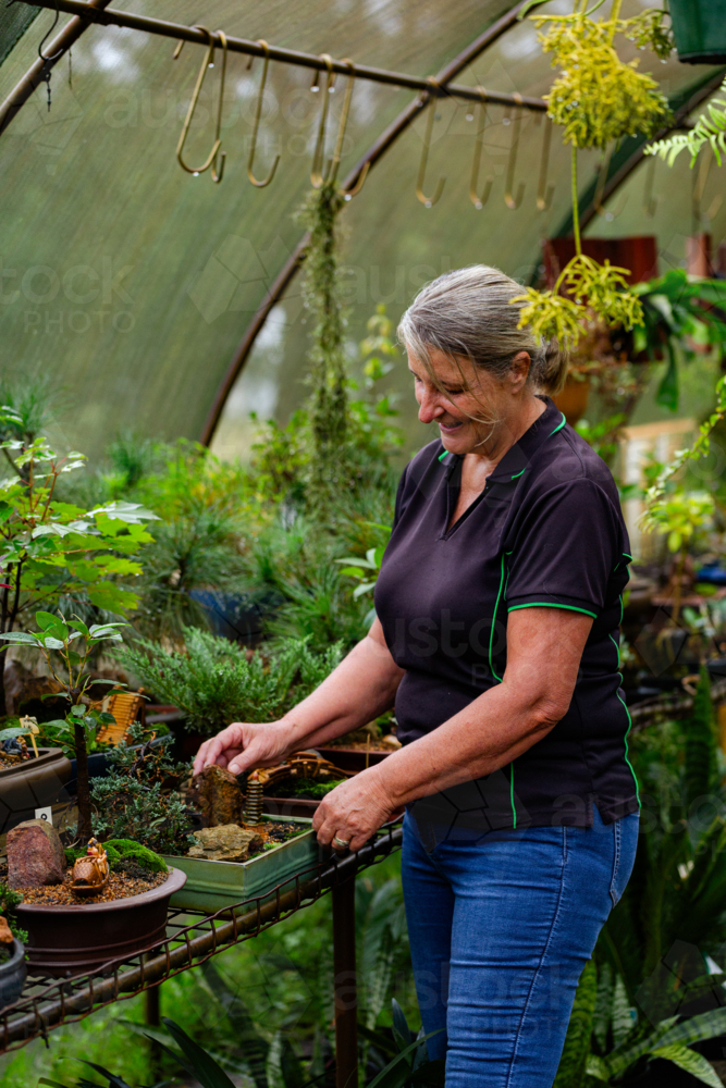 Happy middle aged woman working in greenhouse at small business nursery garden - Australian Stock Image