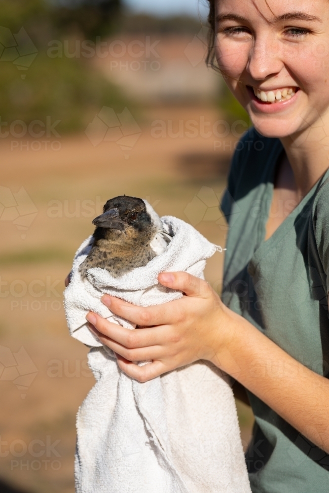 happy teenager holding injured magpie in old towel - Australian Stock Image