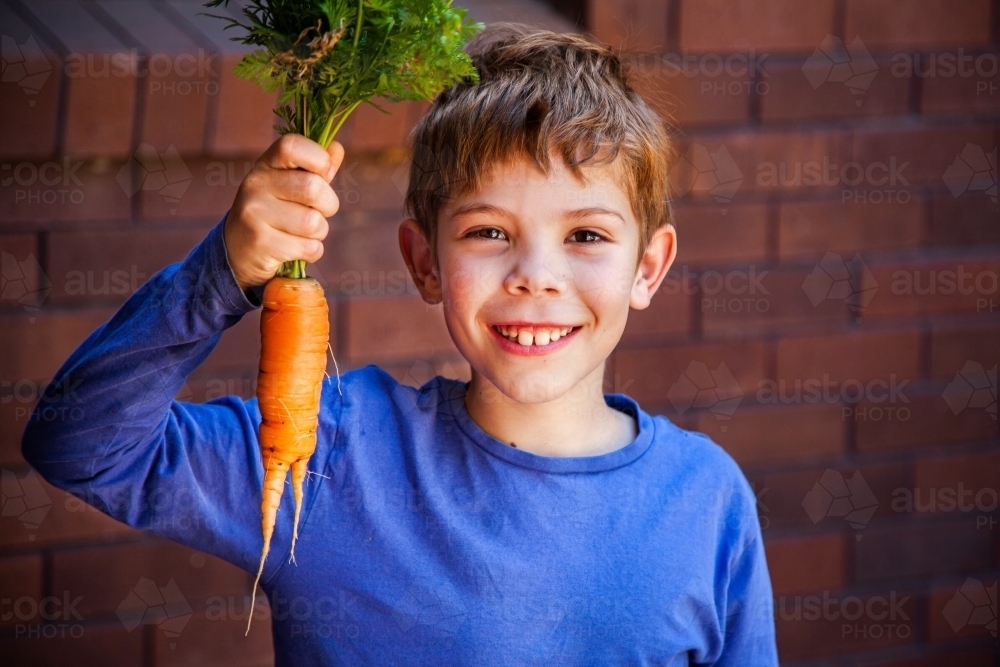 Happy young boy with huge home grown carrot from veggie garden - Australian Stock Image