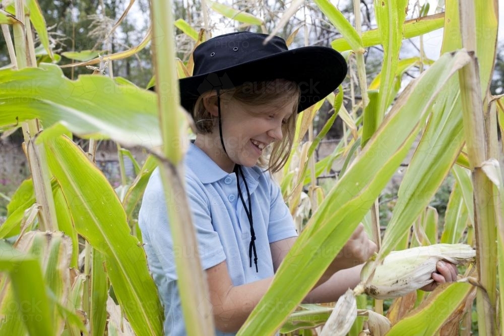 Happy young girl wearing school uniform picking corn in garden - Australian Stock Image