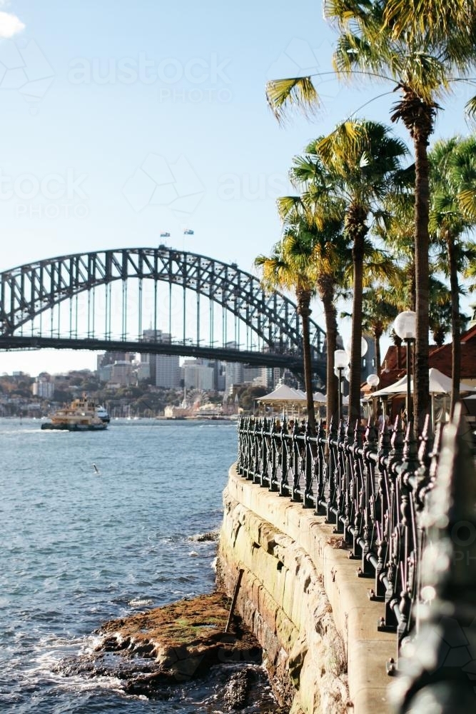 Harbour Bridge and palm trees - Australian Stock Image