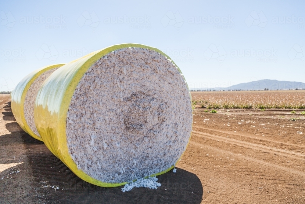Harvested cotton in bale on farm awaiting transportation - Australian Stock Image