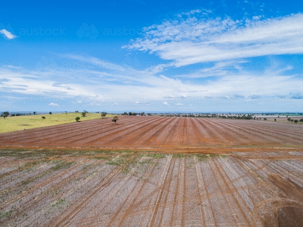 harvested farm paddocks on flat agricultural land - Australian Stock Image