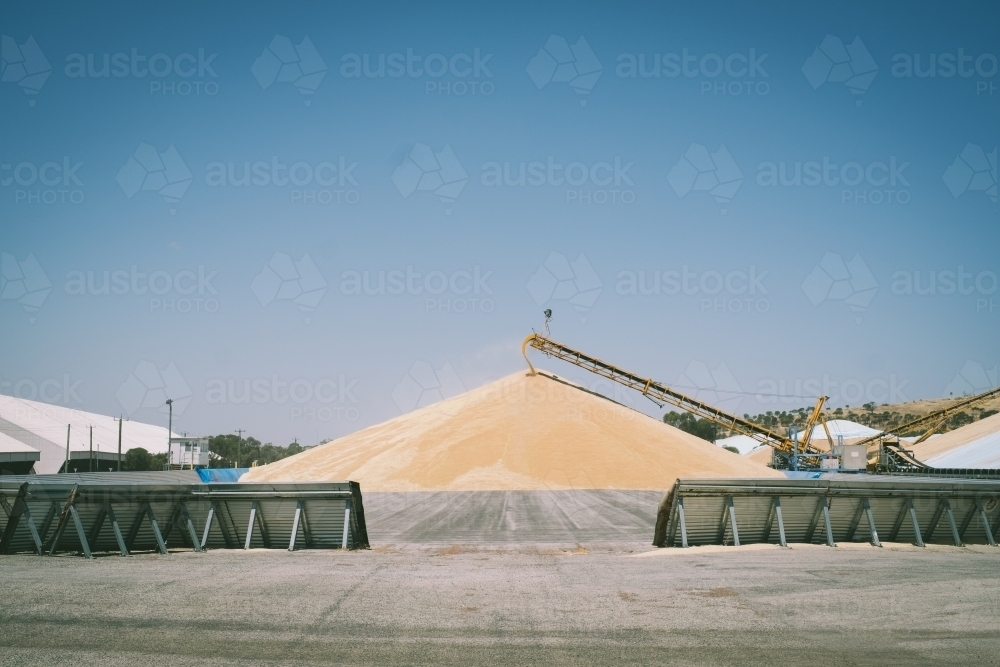 Harvested grain coming into CBH Avon Yard terminal in Western Australia - Australian Stock Image