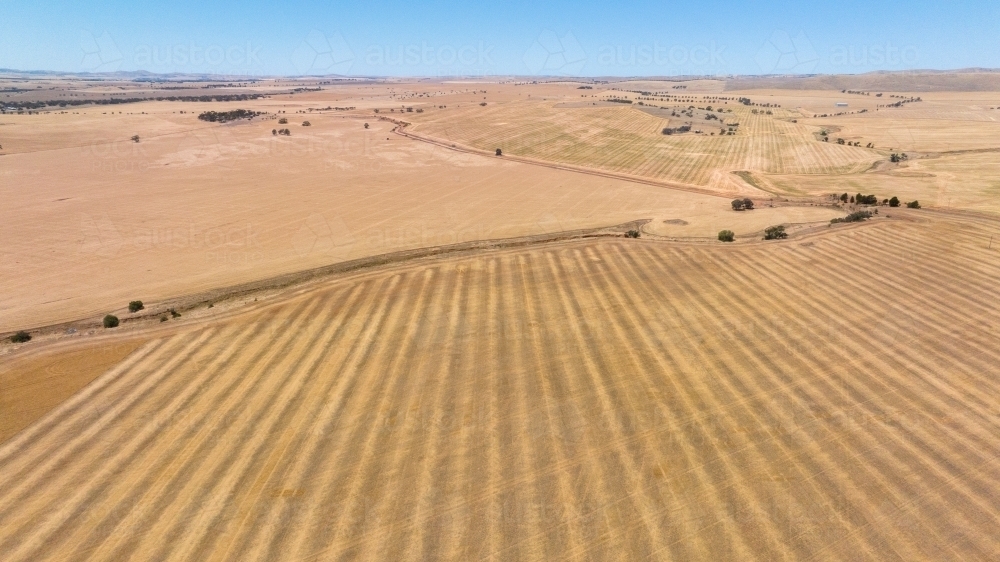 Harvested land - Australian Stock Image