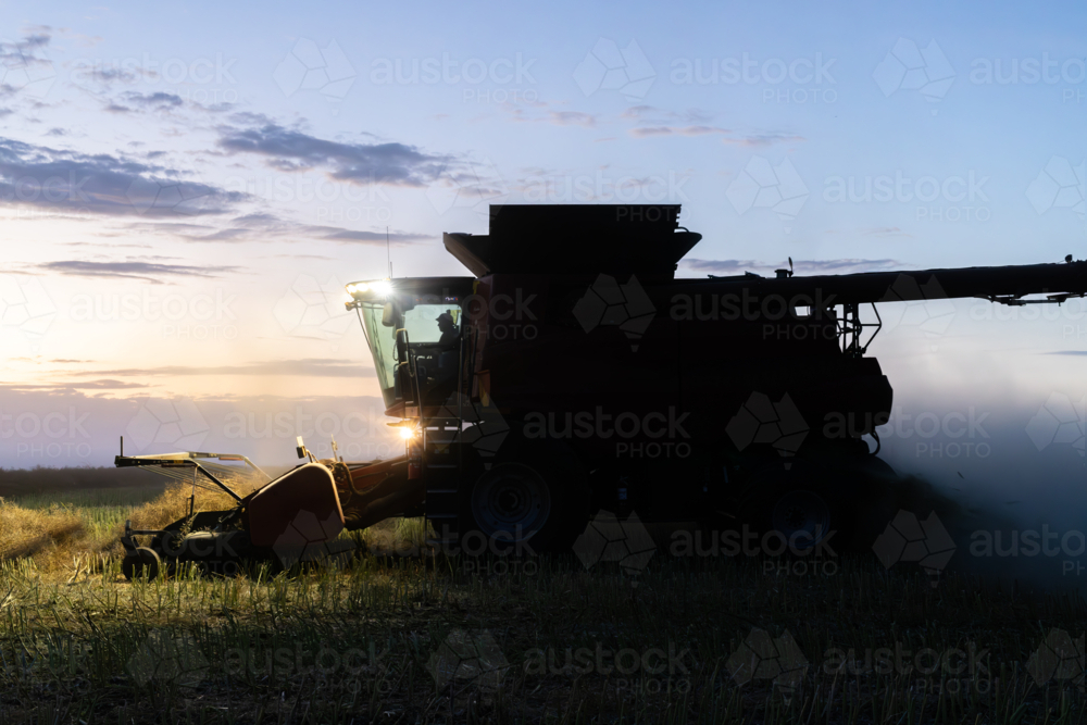 Harvester harvesting canola crop at sunset on a farm - Australian Stock Image