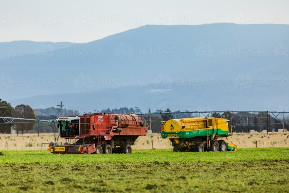 harvester in farm paddock with peas - Australian Stock Image