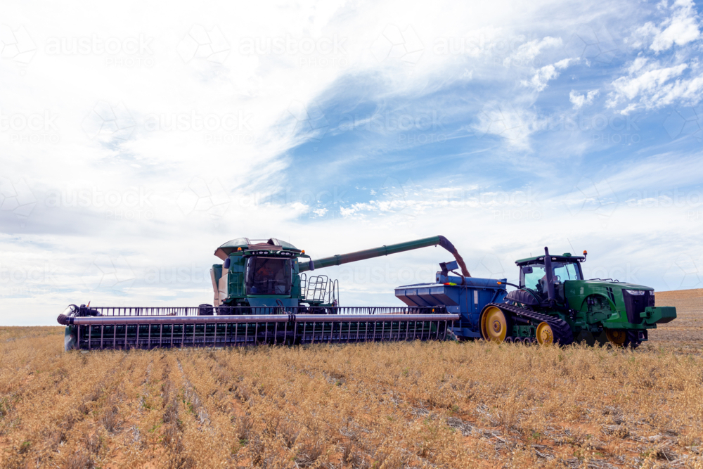Harvester moving grain into tractor - Australian Stock Image