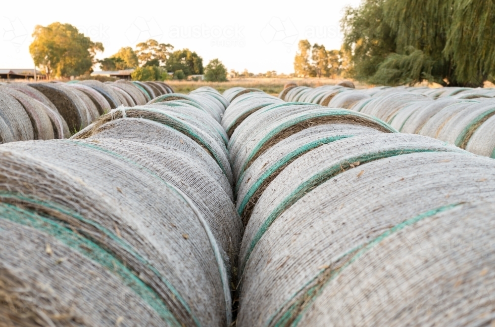 Hay bales - Australian Stock Image