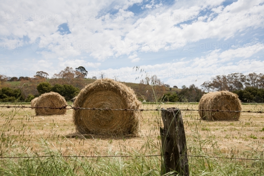 Hay bales in paddock behind a barbed wire fence - Australian Stock Image