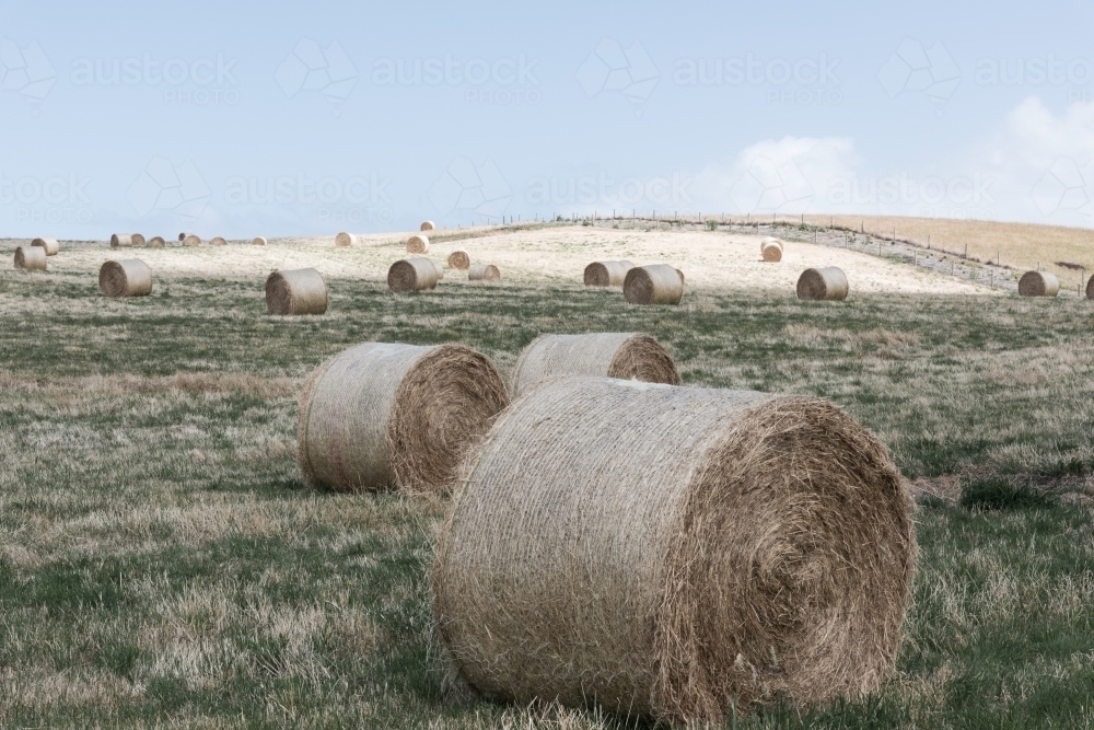 Hay bales over rural landscape - Australian Stock Image