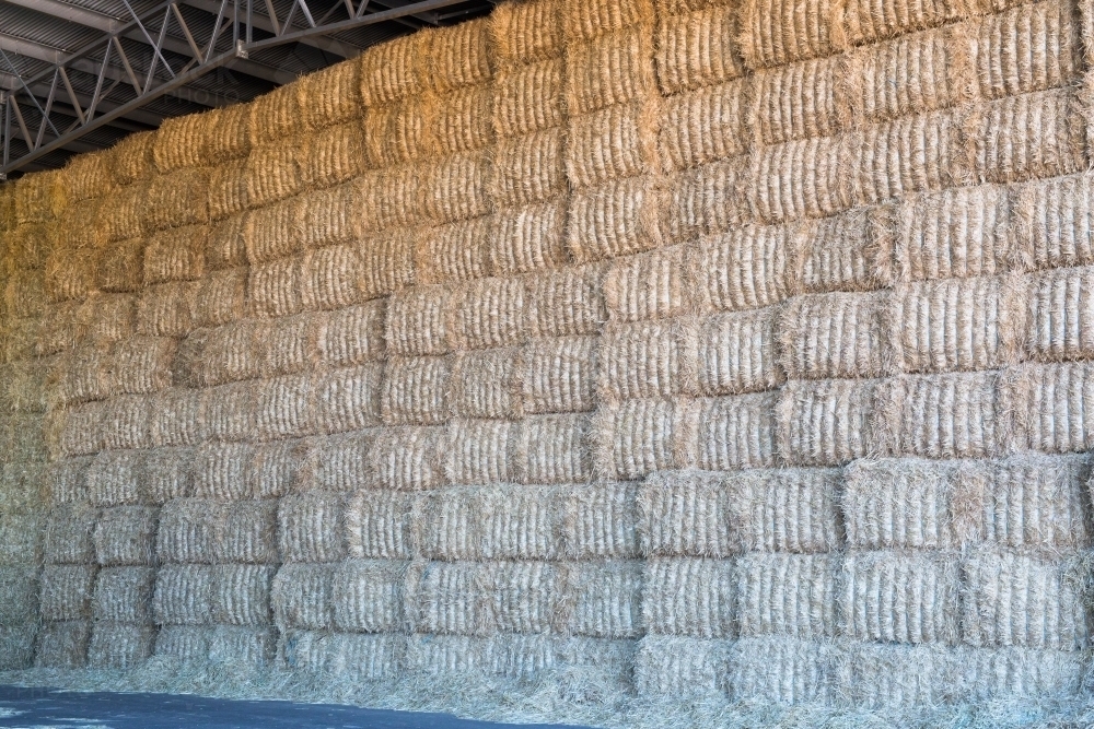 hay bales stacked up - Australian Stock Image