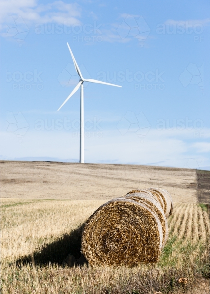 Hay bales with wind turbine in background - Australian Stock Image