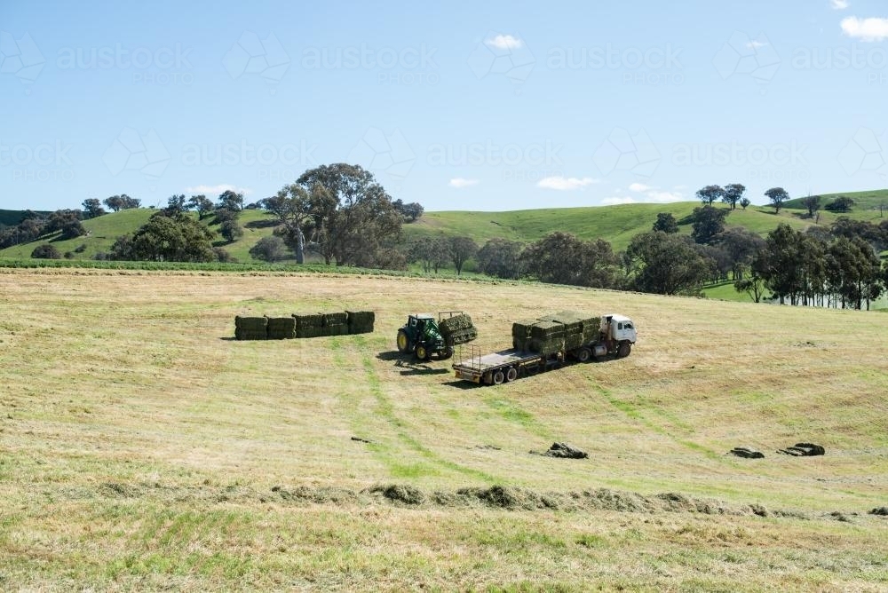 Hay carting on the farm - Australian Stock Image