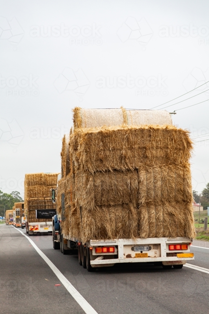 Hay in road train being transported across Australia to aid farmers in drought - Australian Stock Image