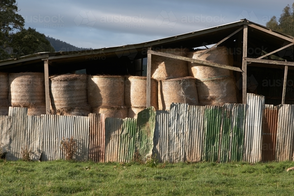 Hayshed in NW Tasmania - Australian Stock Image