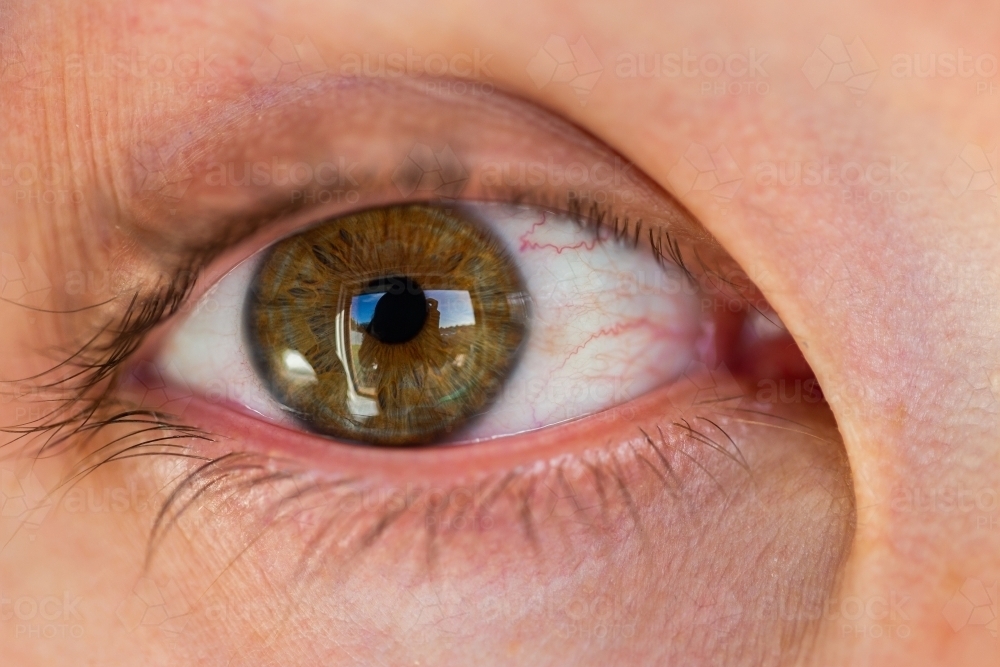 Hazel eye close up brown above blue - Australian Stock Image