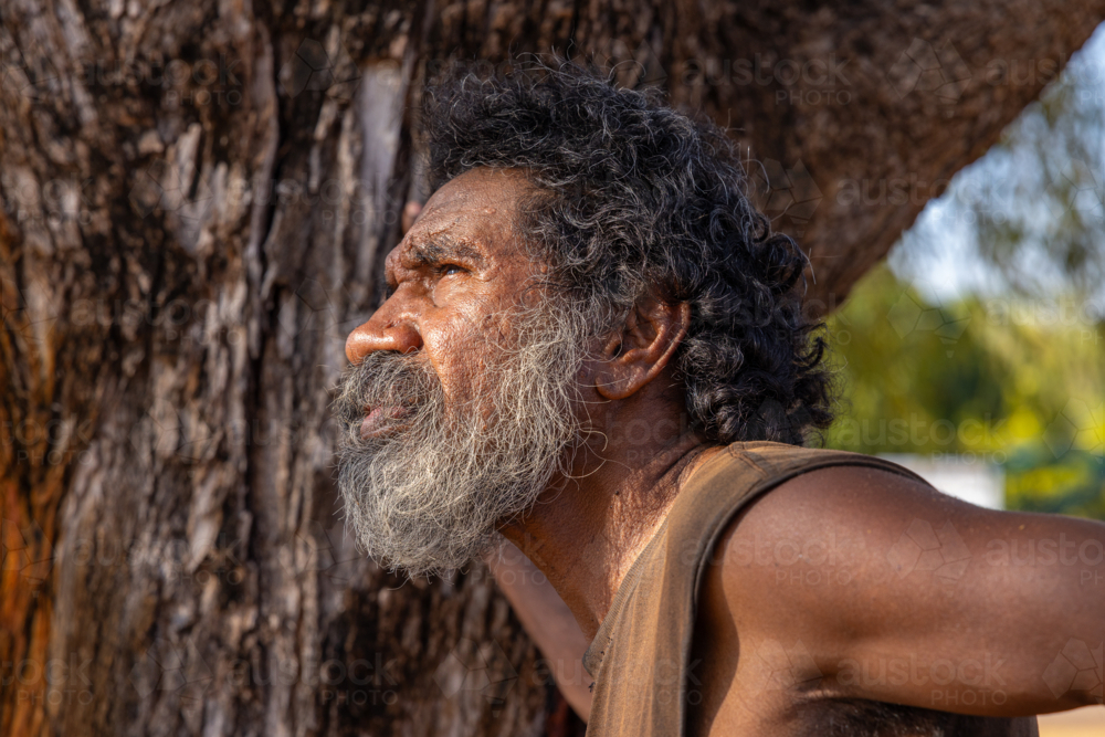 head and shoulders of first nations australian man in profile against the bark of a tree trunk - Australian Stock Image