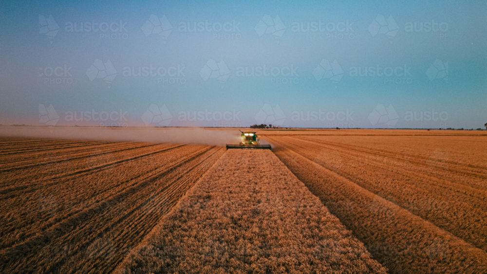 Header during harvest at sunset - Australian Stock Image
