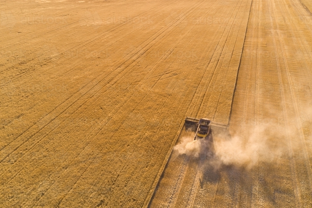 Header harvesting a barley crop. - Australian Stock Image