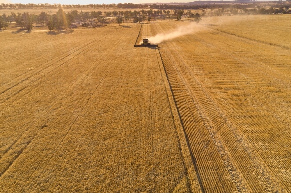 Header harvesting barley crop in the evening with view across the farm landscape. - Australian Stock Image