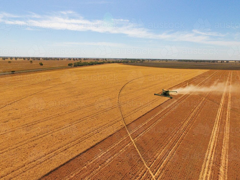 Header in Paddock - Australian Stock Image